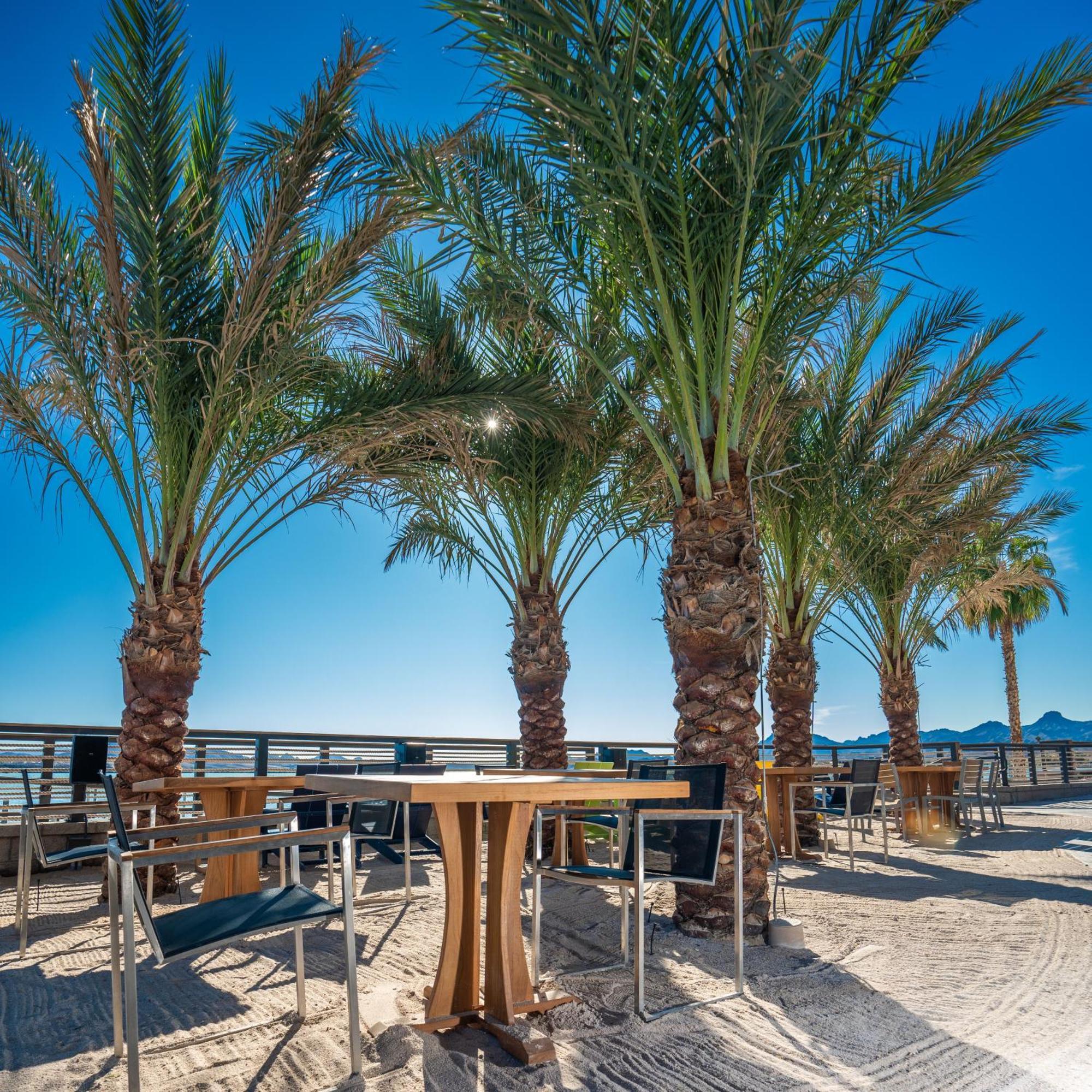 The Nautical Beachfront Resort Lake Havasu City Ngoại thất bức ảnh